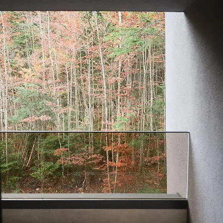 Ali - Garage Included *