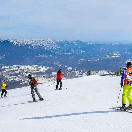 Ali - Garage Included